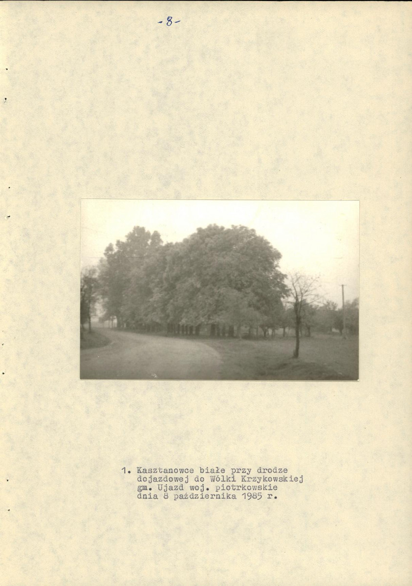 EP - Ewidencja parkowa, skan nr 15