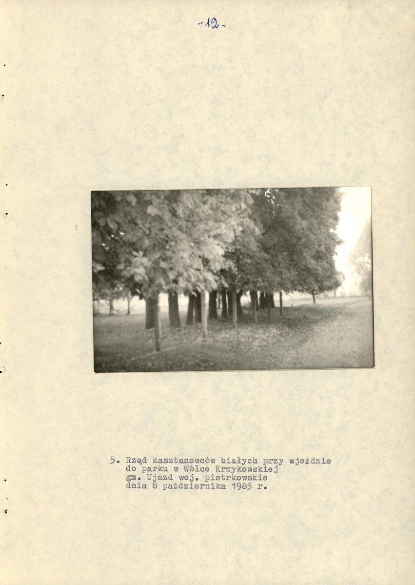 EP - Ewidencja parkowa, skan nr 19