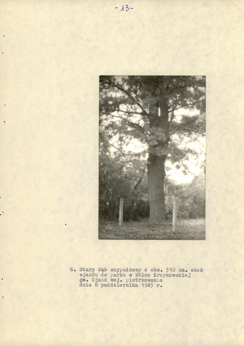 EP - Ewidencja parkowa, skan nr 20