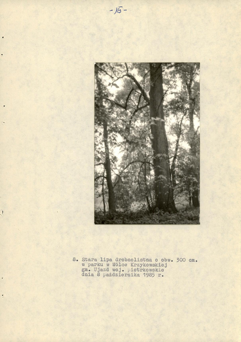 EP - Ewidencja parkowa, skan nr 22