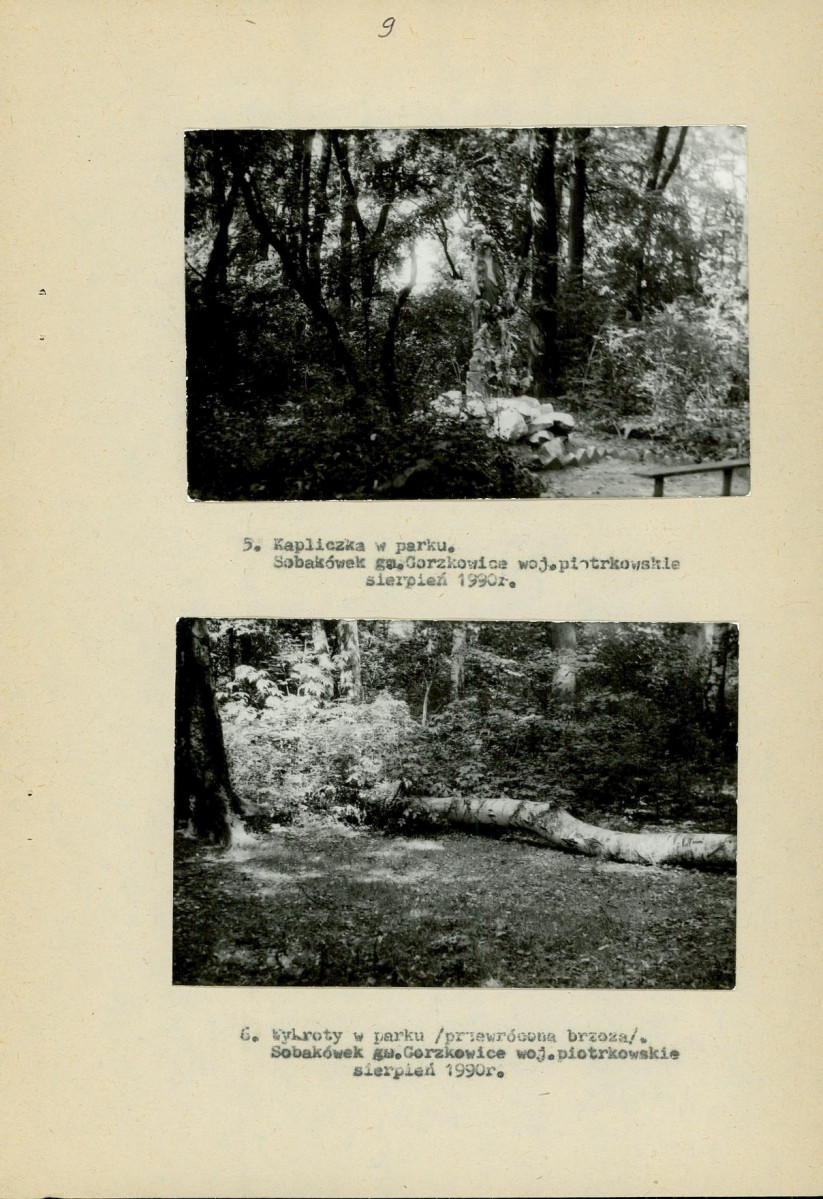 Ewidencja parkowa, skan nr 16