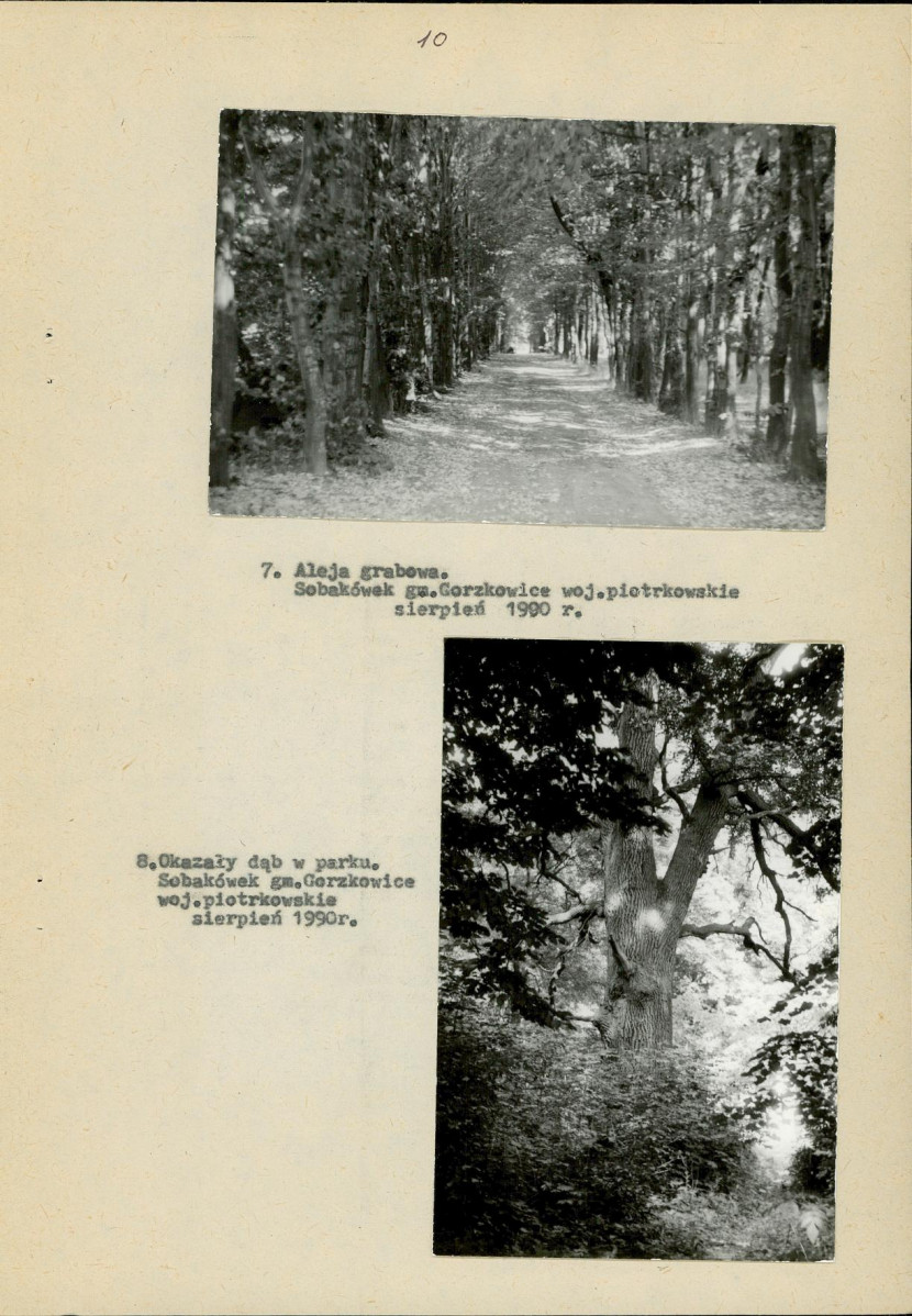 Ewidencja parkowa, skan nr 17