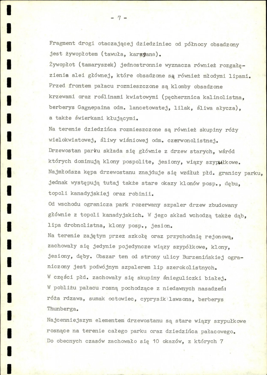 Ewidencja parkowa, skan nr 11