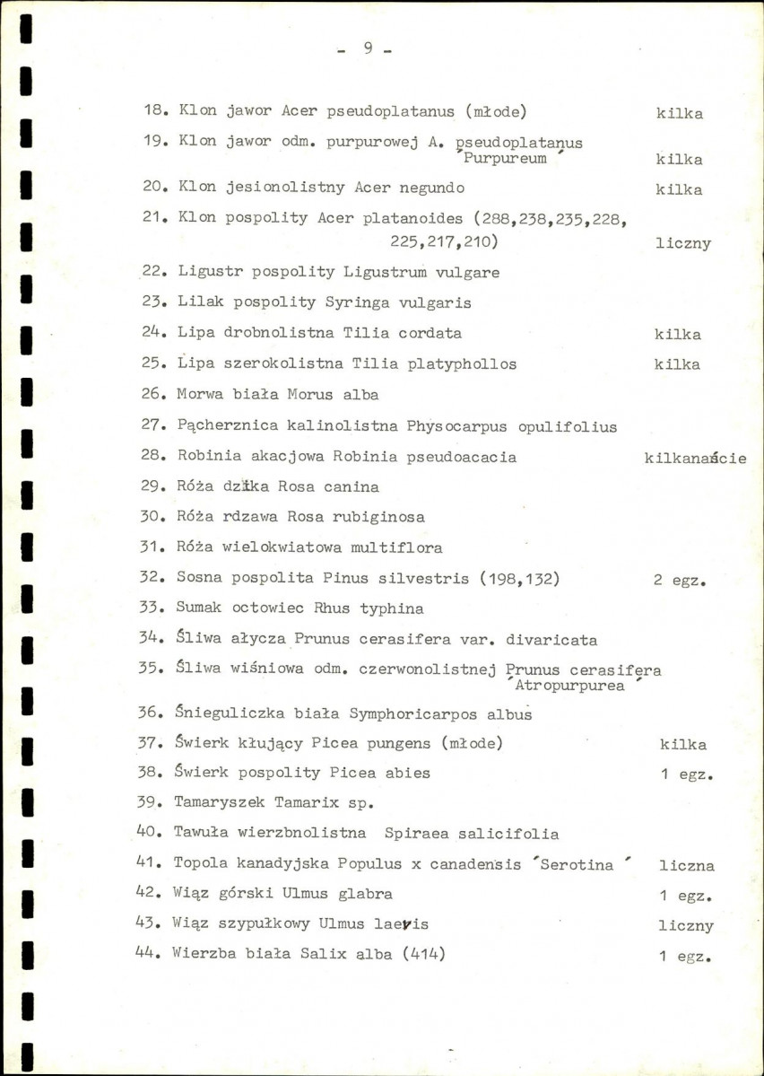 Ewidencja parkowa, skan nr 13