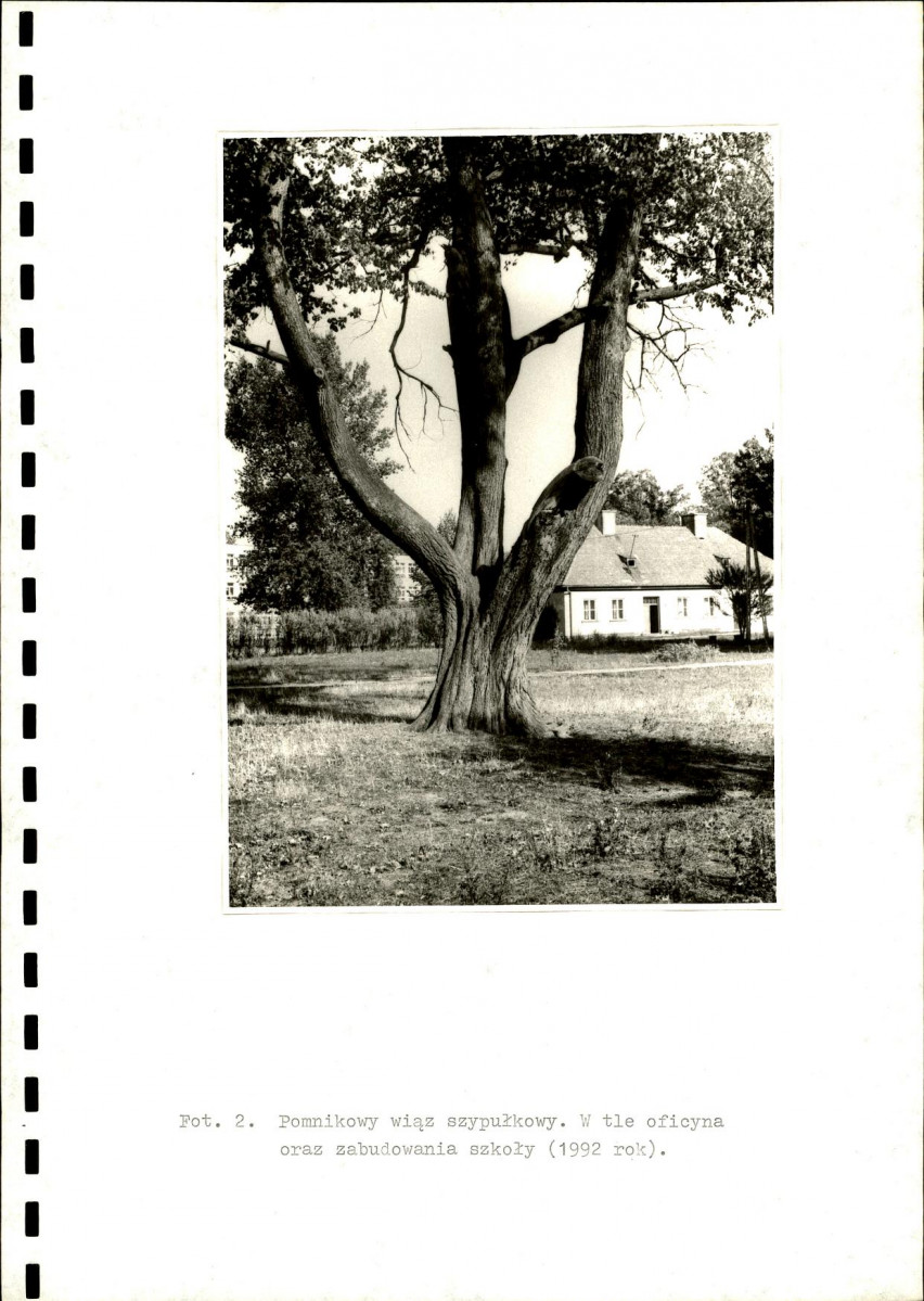 Ewidencja parkowa, skan nr 19