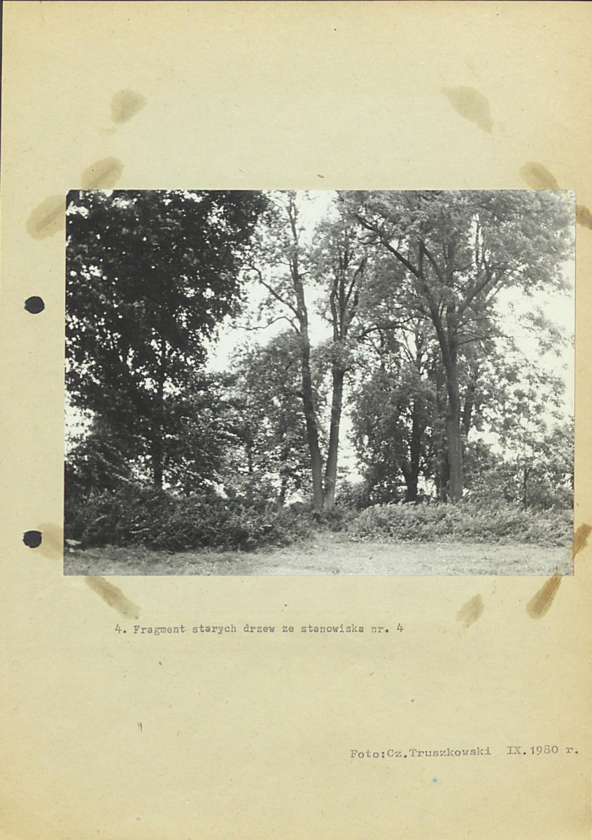 Ewidencja parkowa, skan nr 23