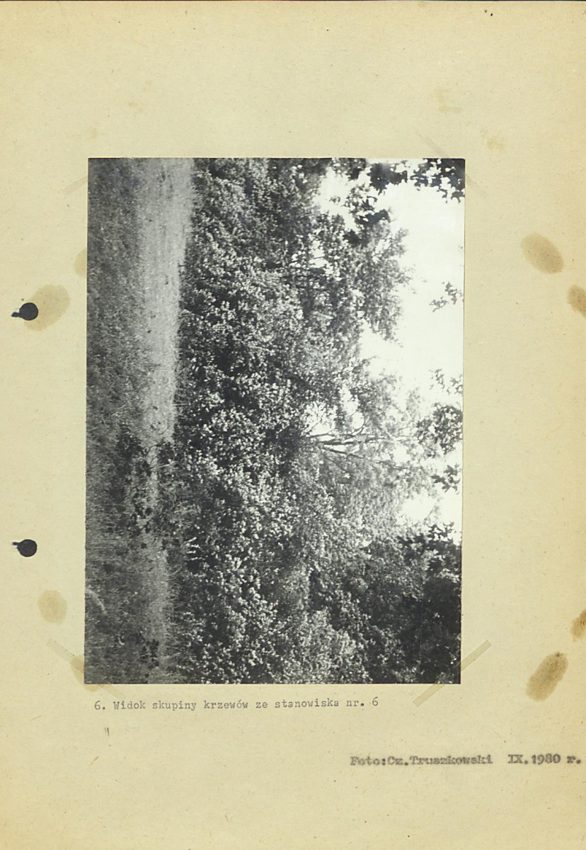 Ewidencja parkowa, skan nr 25