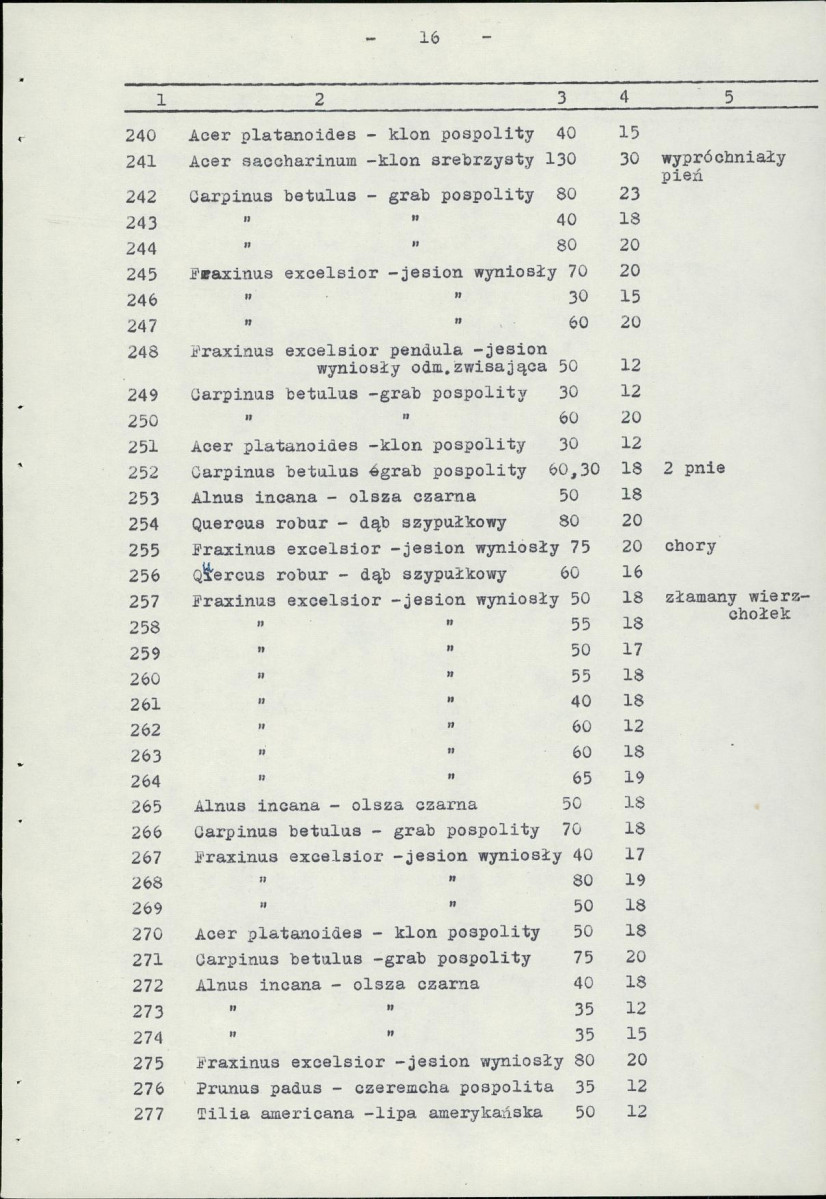 EP - Ewidencja parkowa, skan nr 21