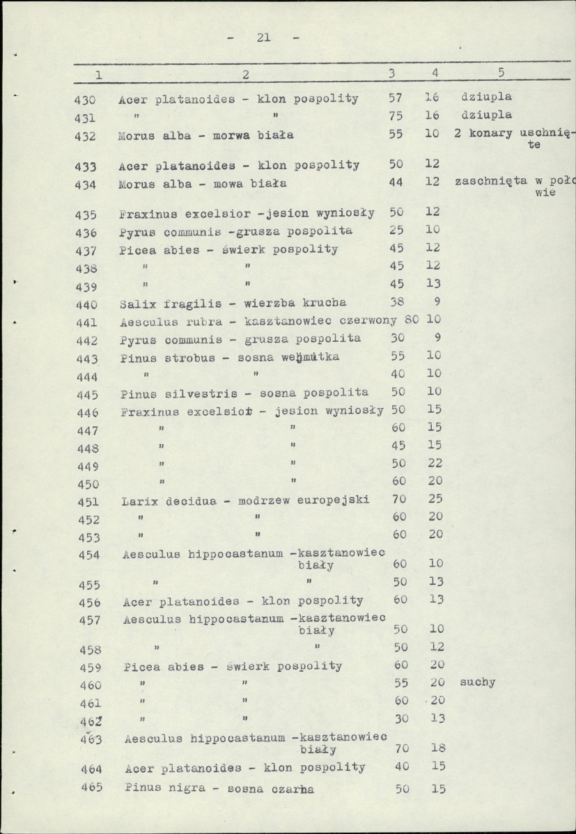 EP - Ewidencja parkowa, skan nr 26