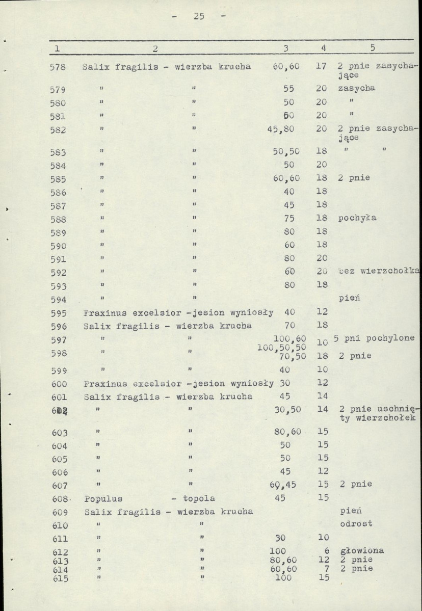 EP - Ewidencja parkowa, skan nr 30