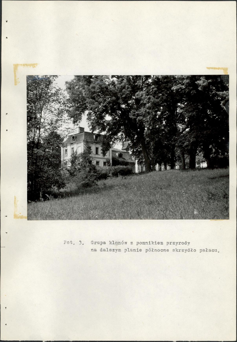 EP - Ewidencja parkowa, skan nr 44