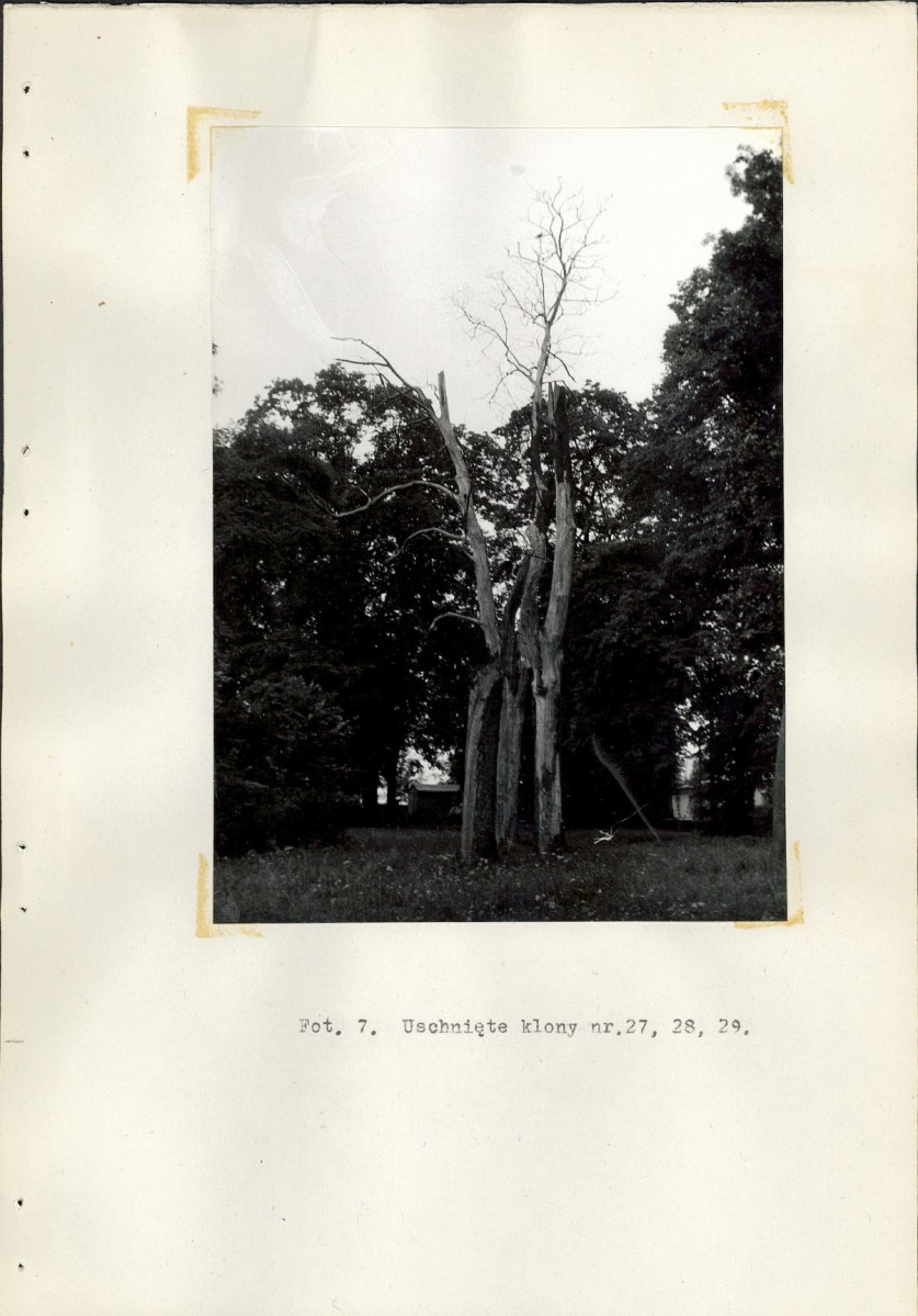 EP - Ewidencja parkowa, skan nr 48