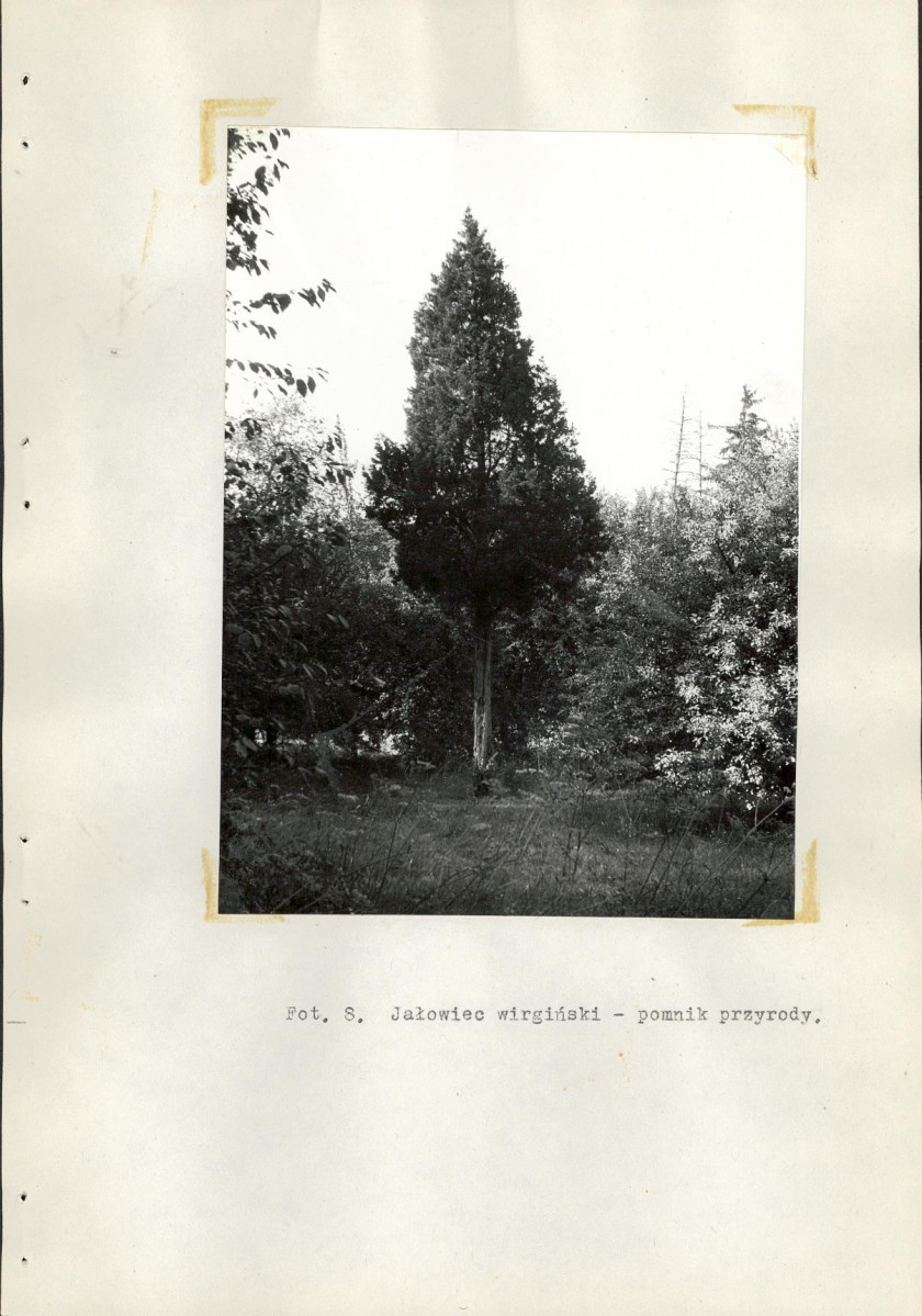 EP - Ewidencja parkowa, skan nr 49