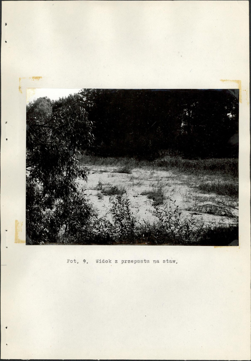 EP - Ewidencja parkowa, skan nr 50