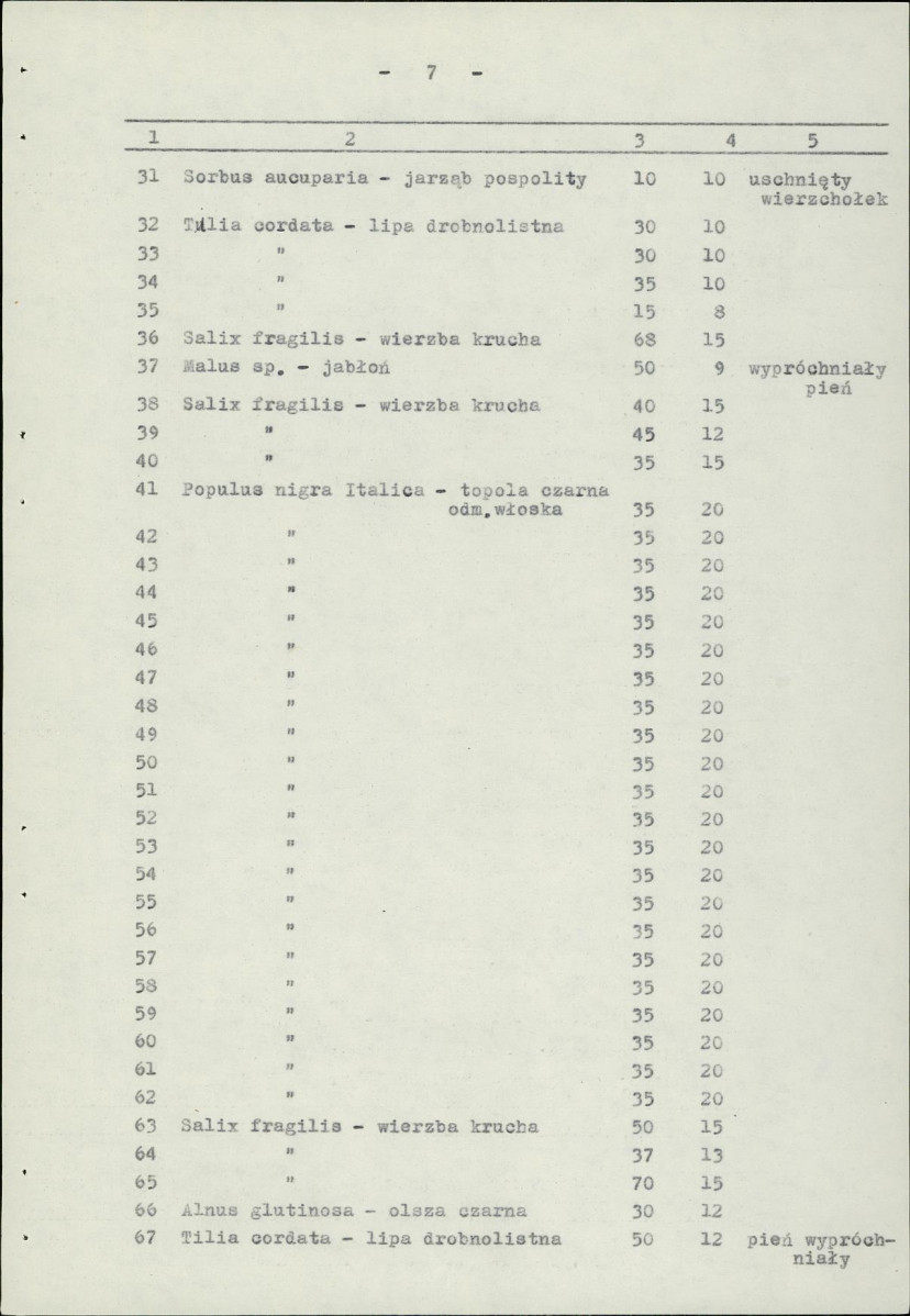 Ewidencja parkowa, skan nr 12