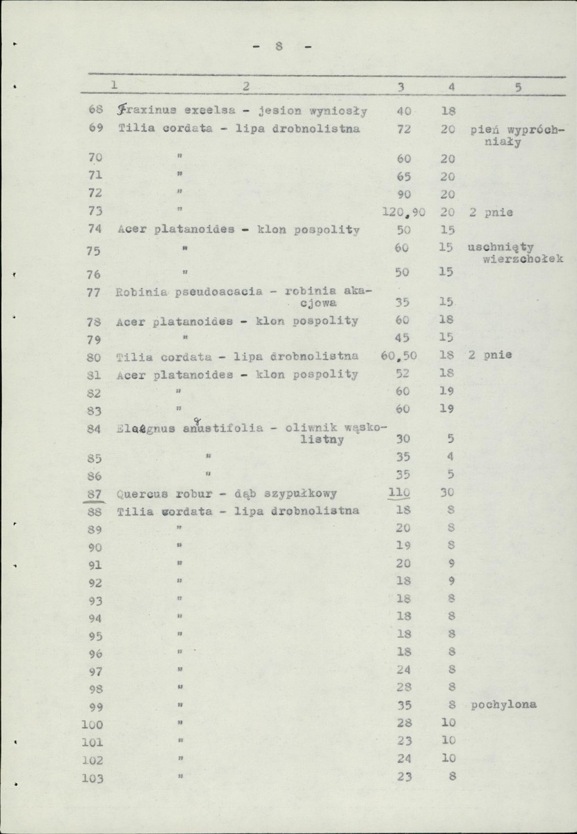 Ewidencja parkowa, skan nr 13