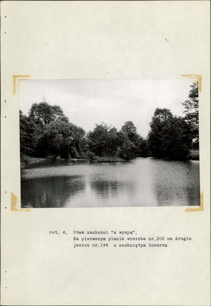 Ewidencja parkowa, skan nr 28