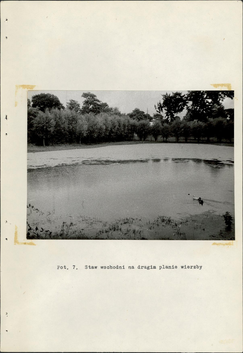 Ewidencja parkowa, skan nr 31