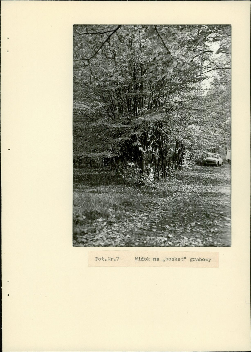 EP - Ewidencja parkowa, skan nr 30