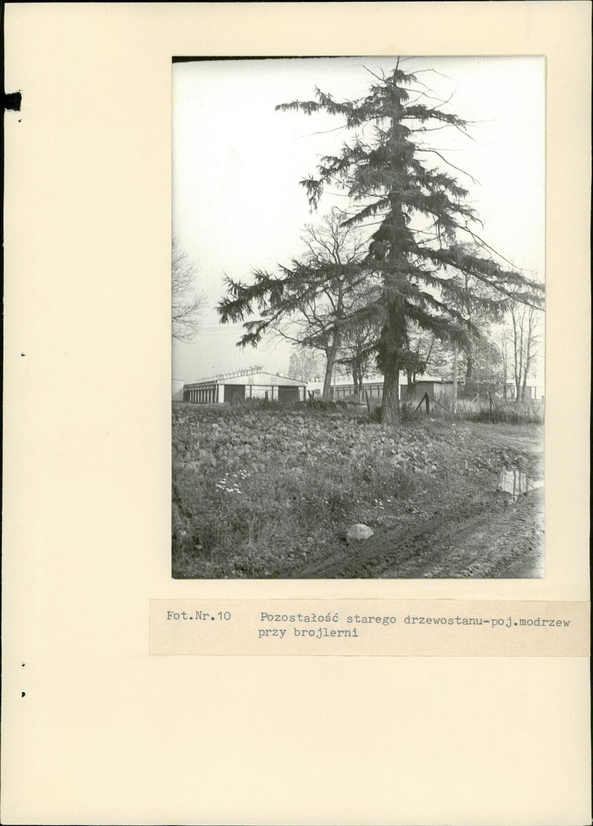 EP - Ewidencja parkowa, skan nr 33