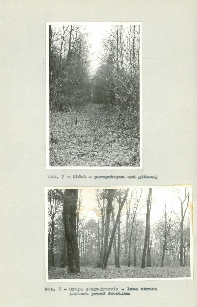 Ewidencja parkowa, skan nr 23