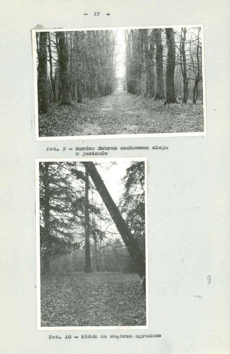 Ewidencja parkowa, skan nr 24