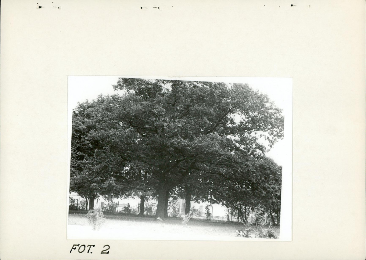 EP - Ewidencja parkowa, skan nr 22