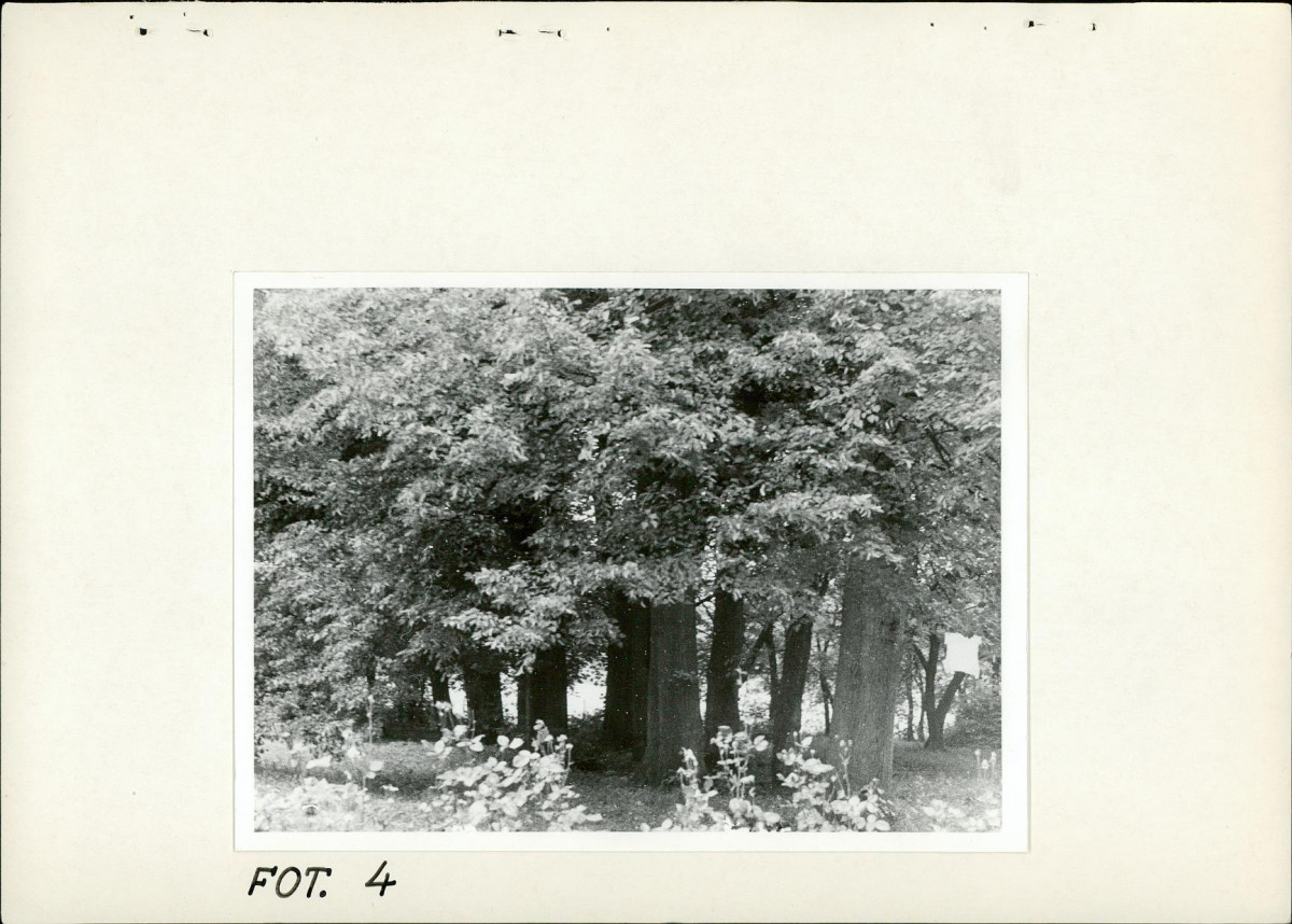 EP - Ewidencja parkowa, skan nr 24