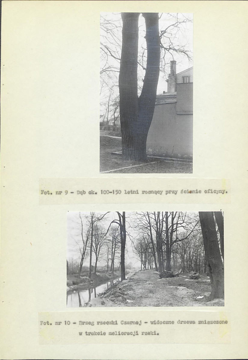 Ewidencja parkowa, skan nr 19