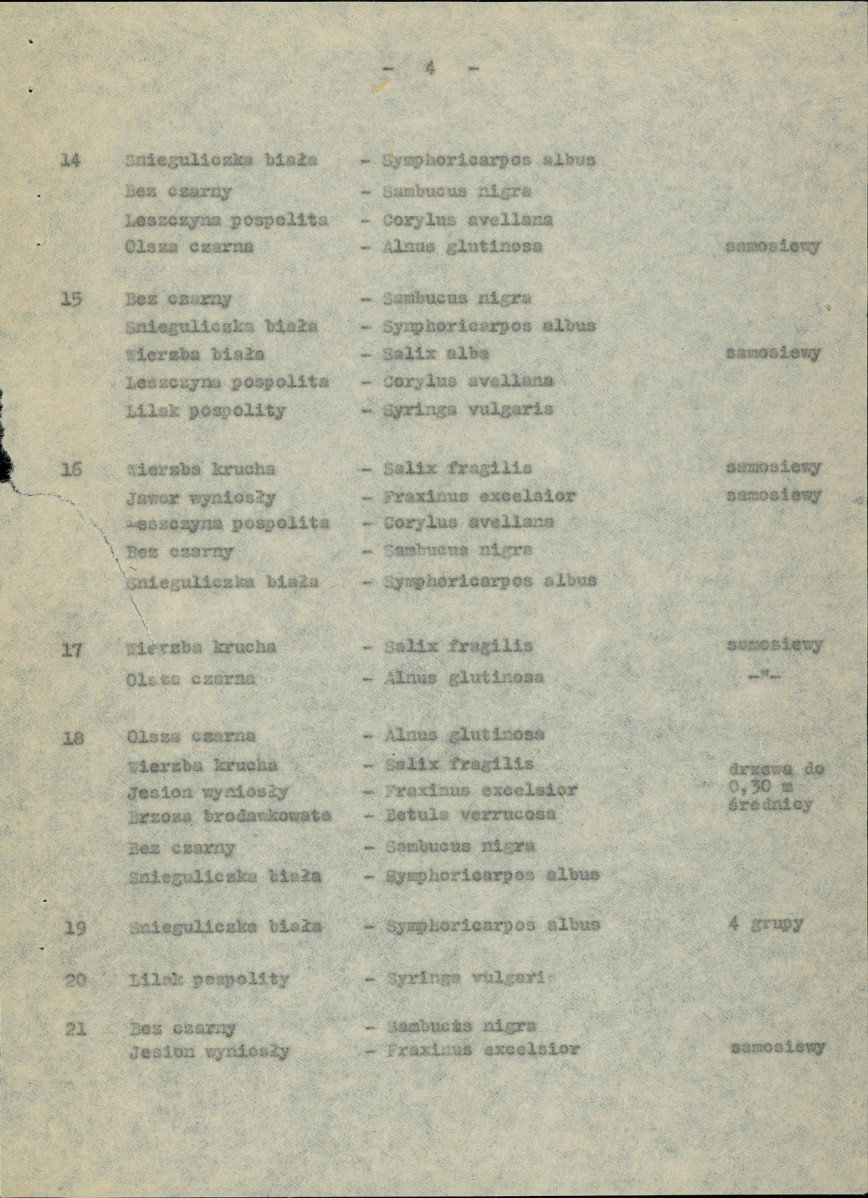 Ewidencja parkowa, skan nr 11