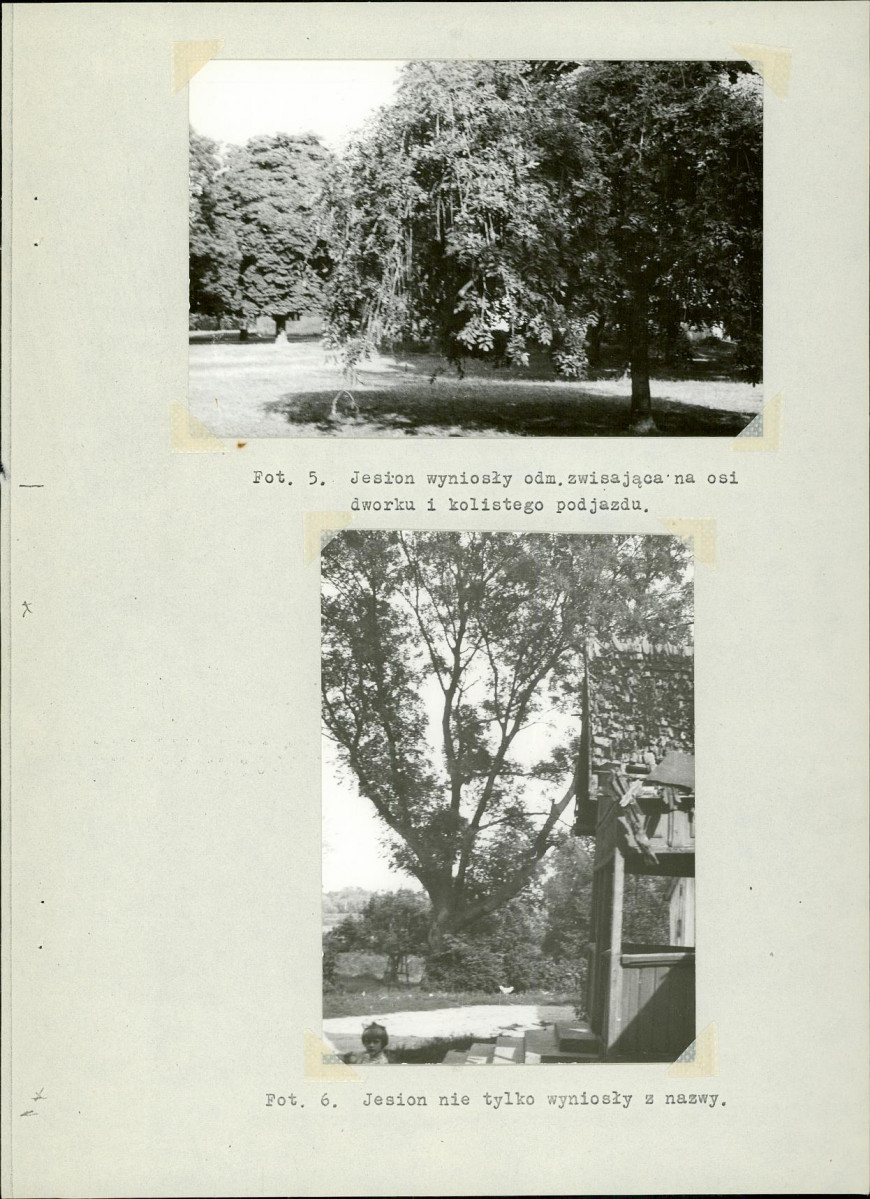 Ewidencja parkowa, skan nr 15