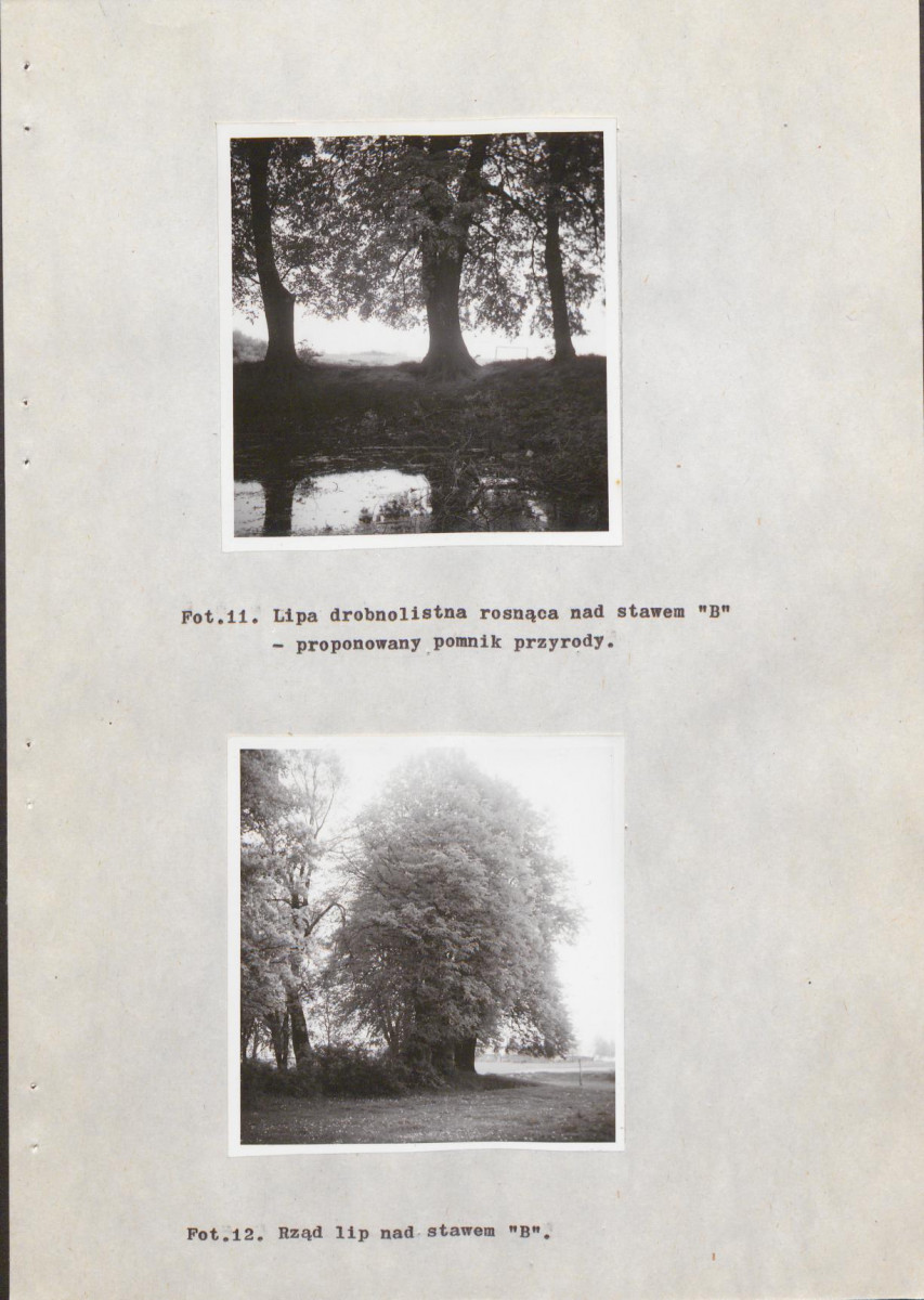 EP - Ewidencja parkowa, skan nr 35