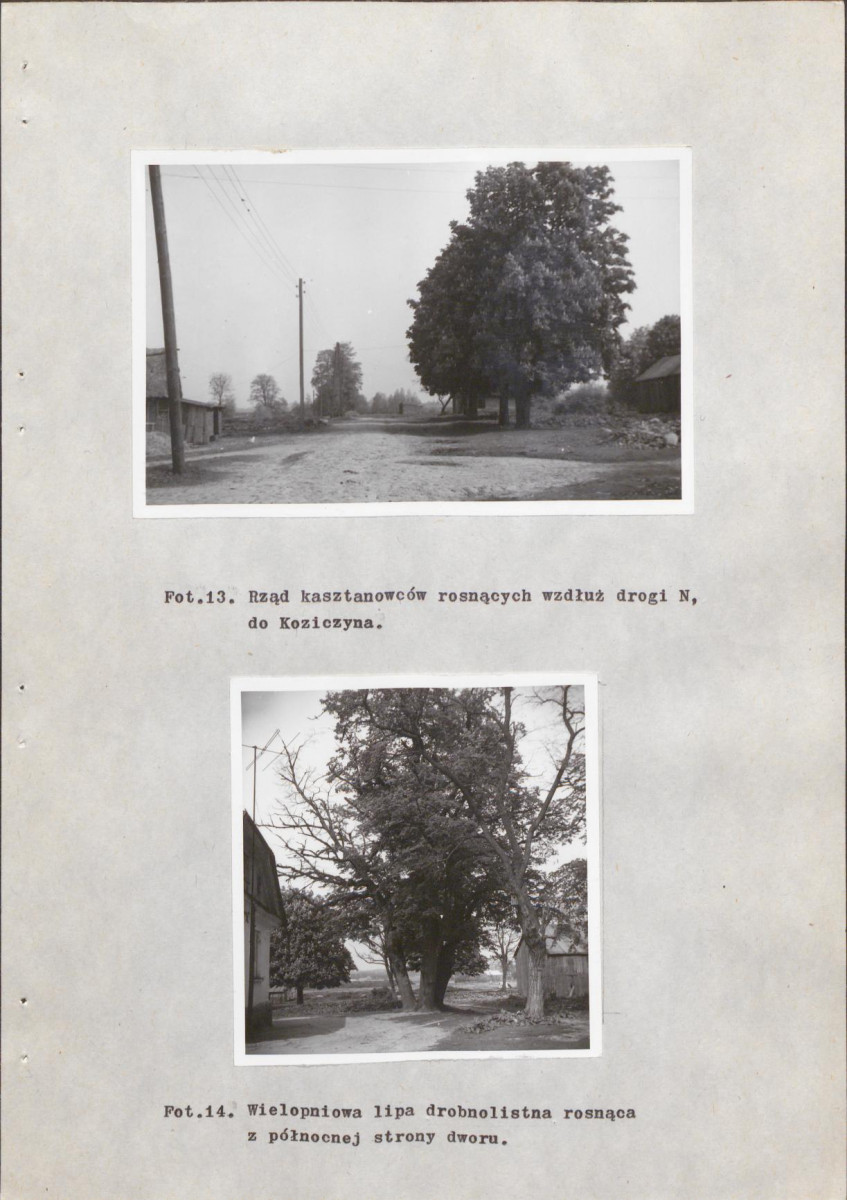 EP - Ewidencja parkowa, skan nr 36