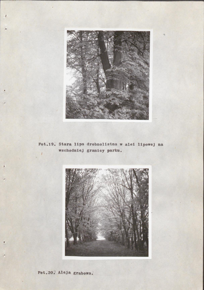 EP - Ewidencja parkowa, skan nr 39