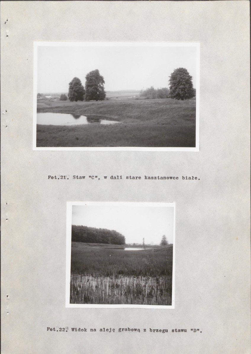 EP - Ewidencja parkowa, skan nr 40