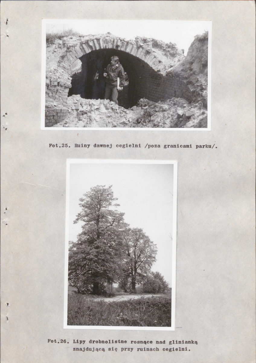 EP - Ewidencja parkowa, skan nr 42