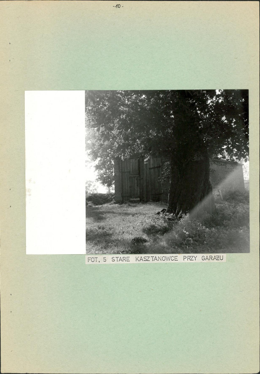 Ewidencja parkowa, skan nr 16