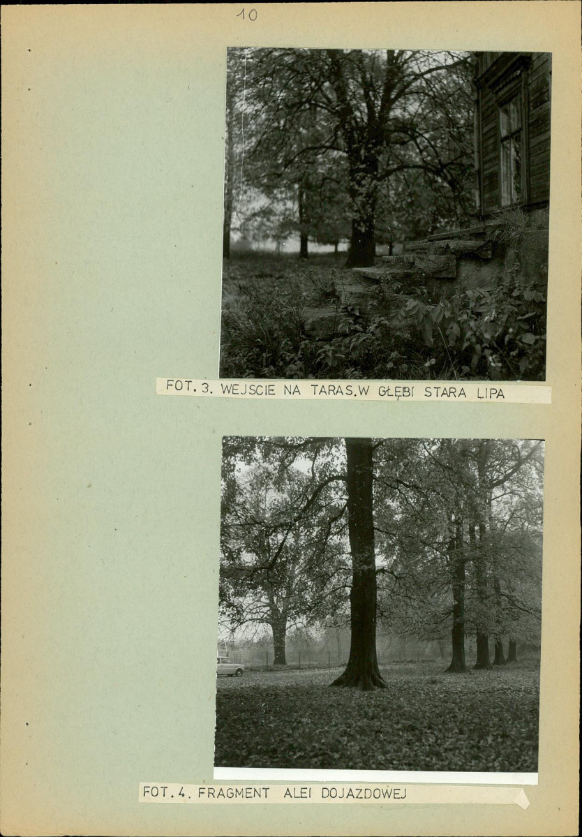 Ewidencja parkowa, skan nr 17