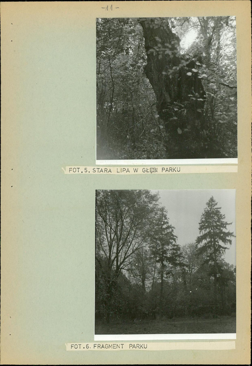 Ewidencja parkowa, skan nr 18