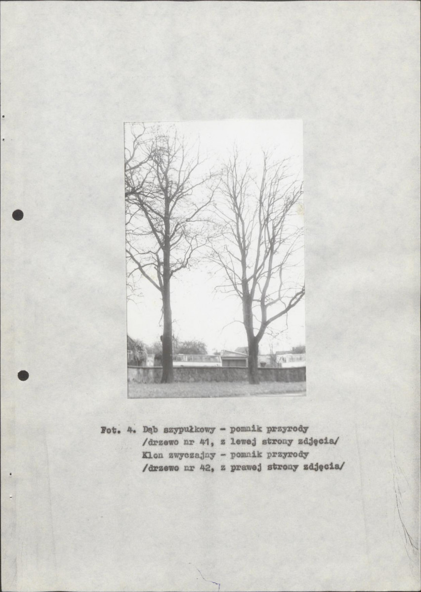 EP - Ewidencja parkowa, skan nr 22