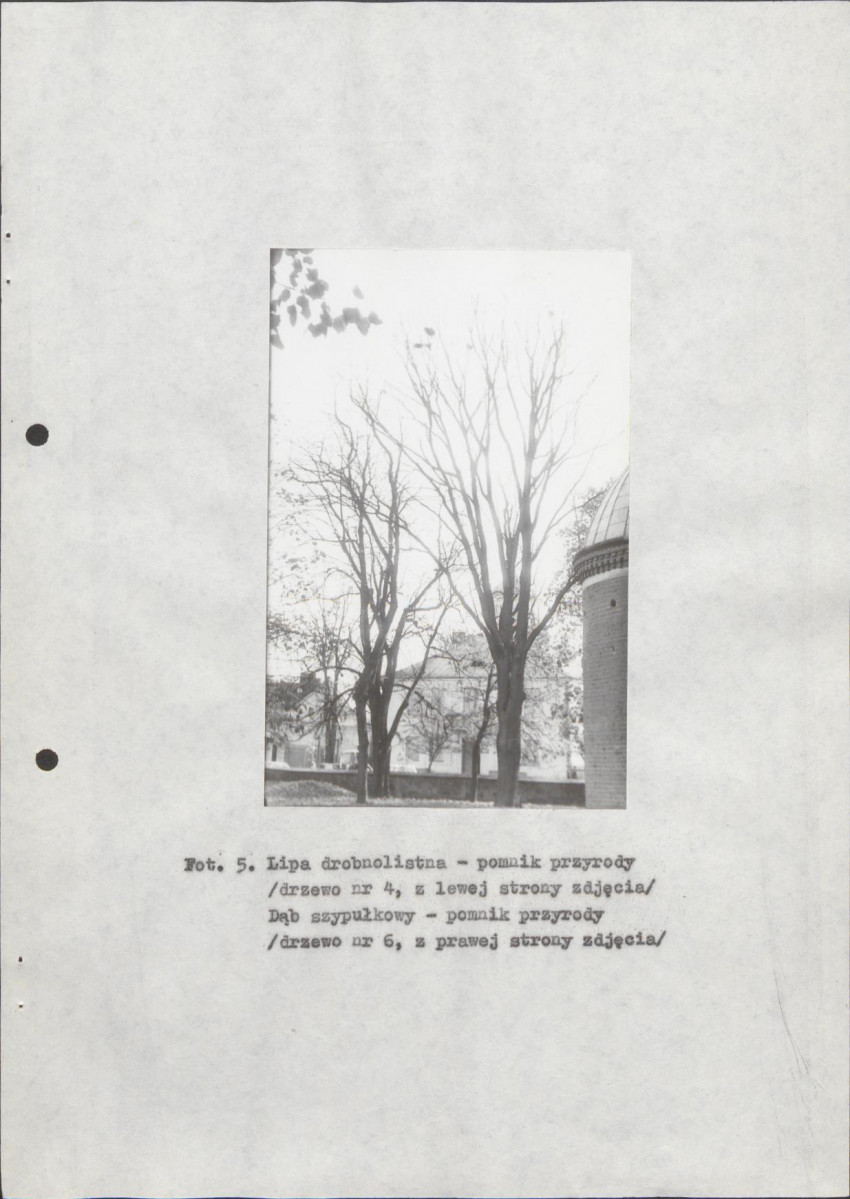 EP - Ewidencja parkowa, skan nr 23