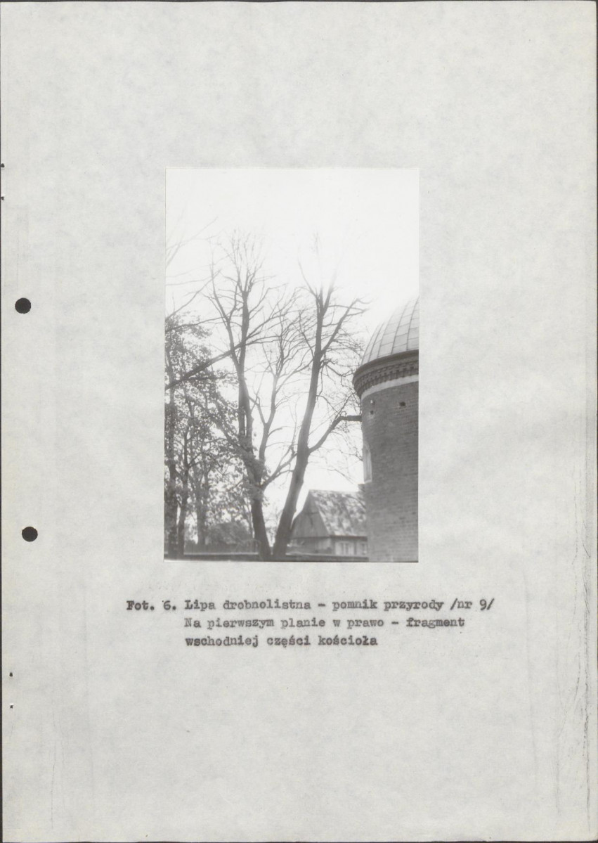 EP - Ewidencja parkowa, skan nr 24