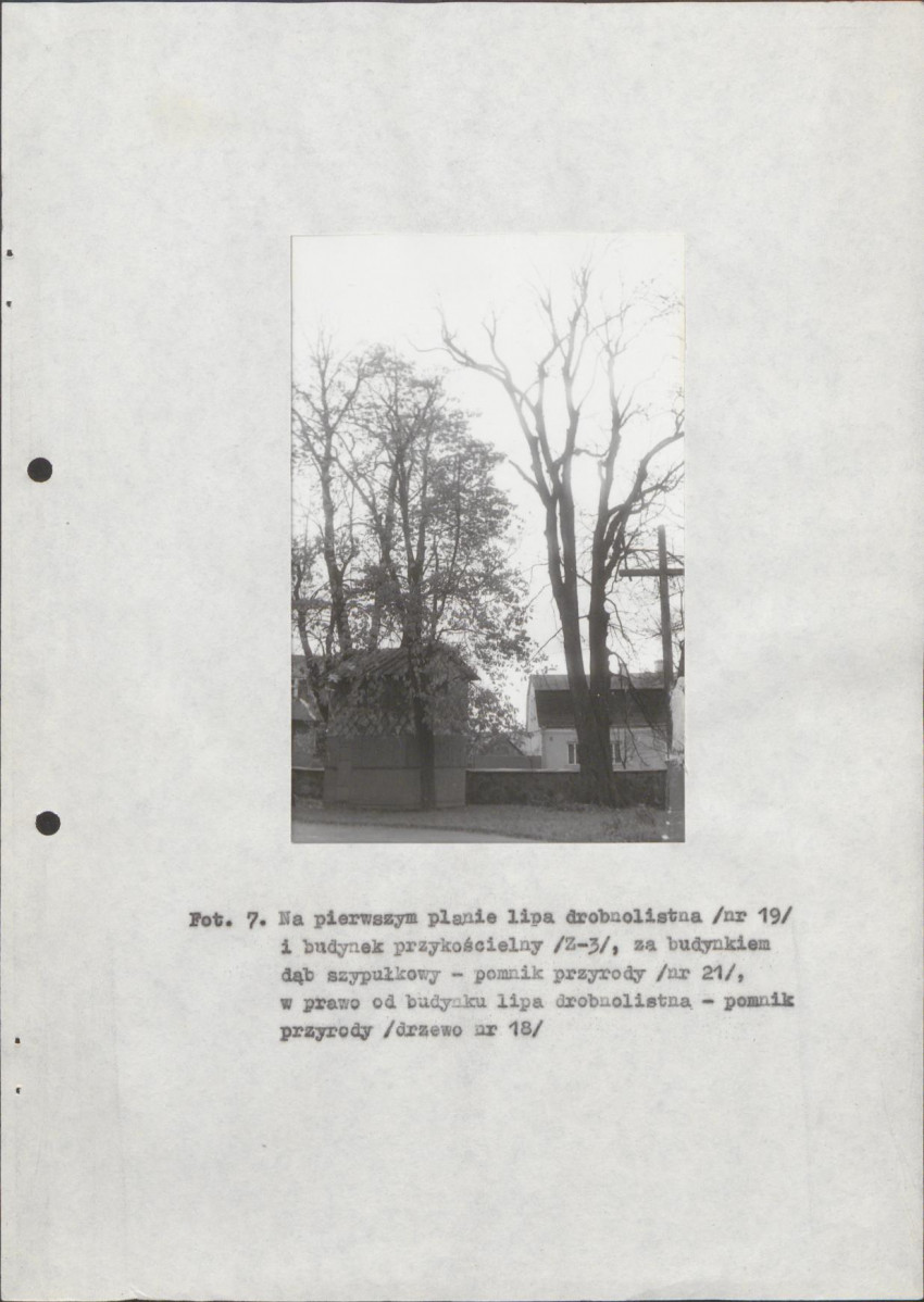 EP - Ewidencja parkowa, skan nr 25