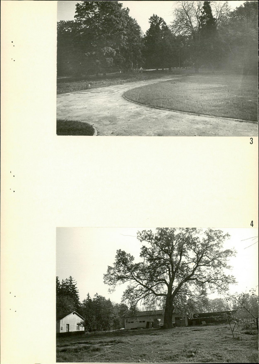 Ewidencja parkowa, skan nr 29