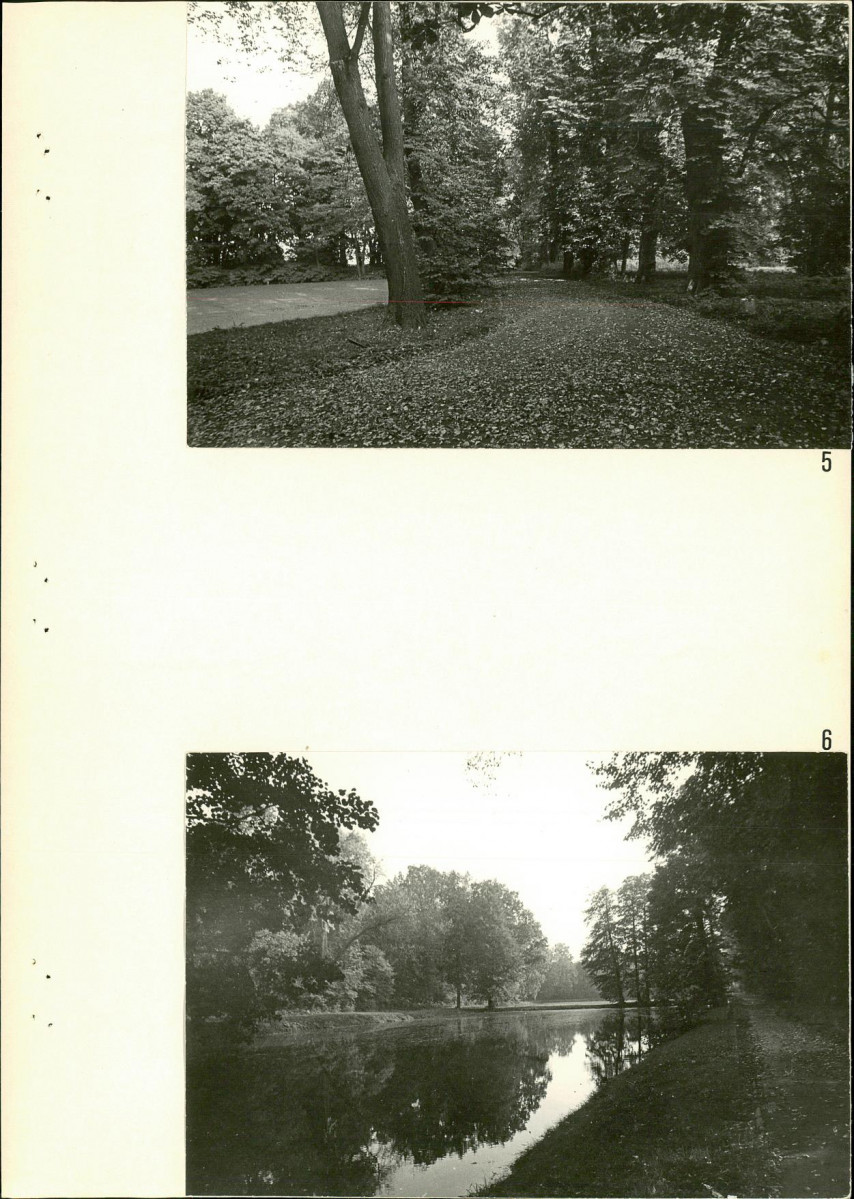 Ewidencja parkowa, skan nr 30