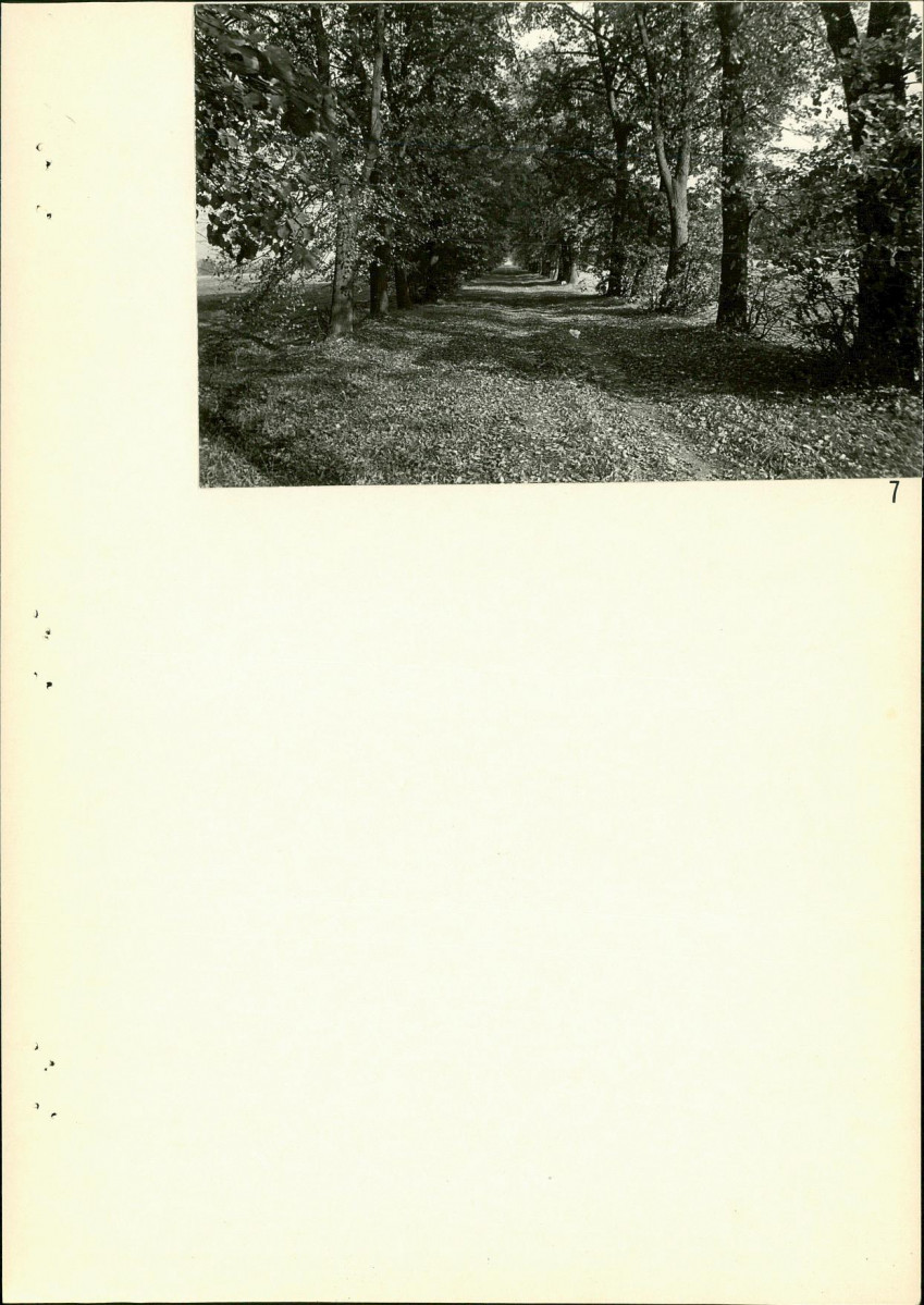 Ewidencja parkowa, skan nr 31