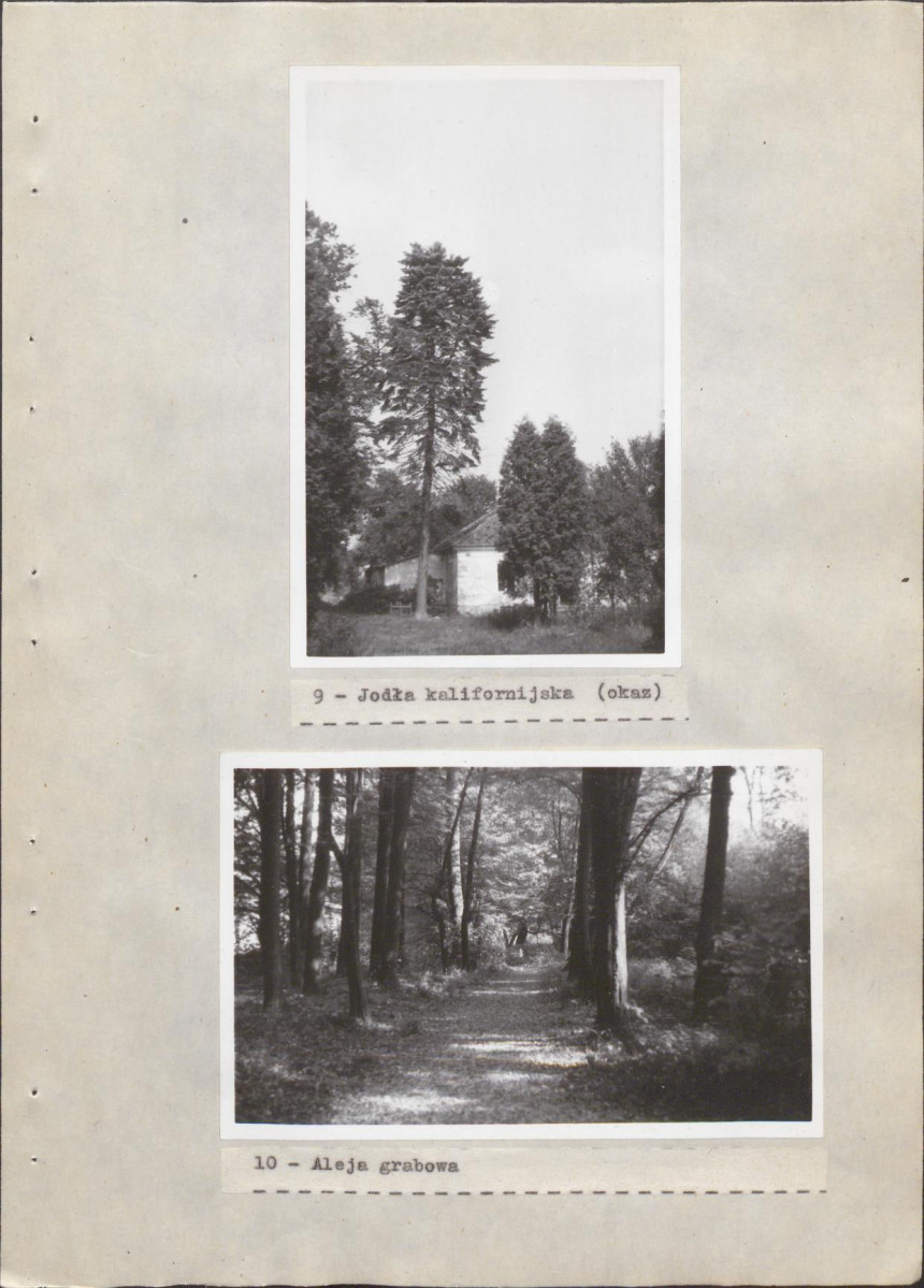 EP - Ewidencja parkowa, skan nr 35