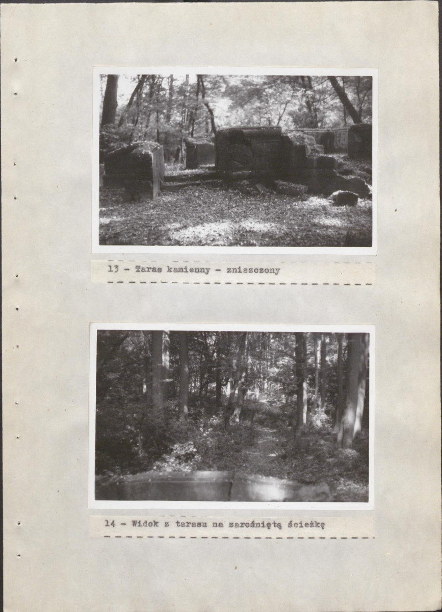 EP - Ewidencja parkowa, skan nr 37