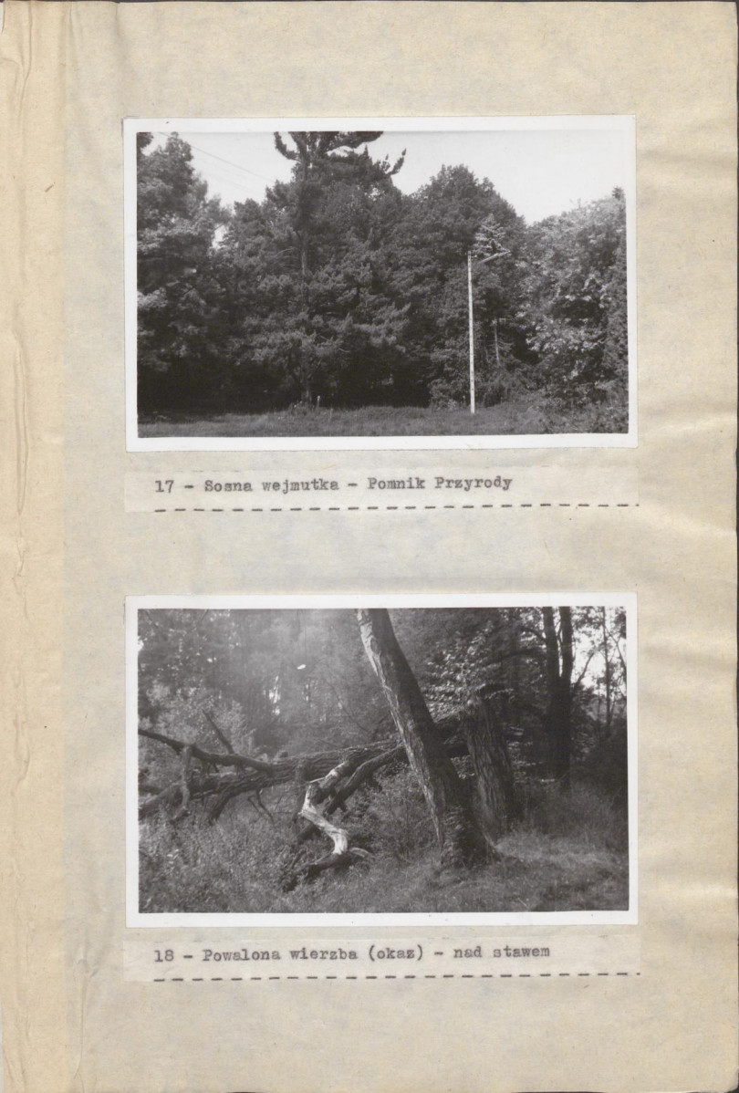 EP - Ewidencja parkowa, skan nr 39