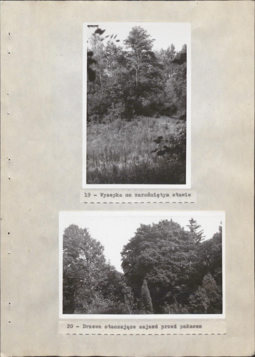 EP - Ewidencja parkowa, skan nr 40